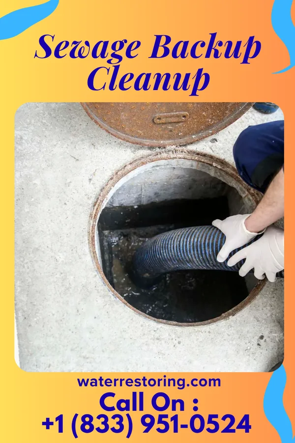 Sewage Backup Cleanup in Harrisonville, MO